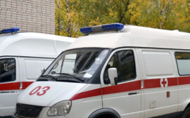Псковская область в 2019 году получит 11 модульных и 13 мобильных ФАПов