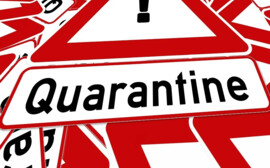 В Псковской области с 23 июля начнут отстранять от работы не привившихся граждан