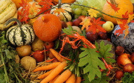 Козлов назвал условия для снижения стоимости сельхозпродукции в Псковской области