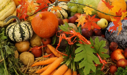 Козлов назвал условия для снижения стоимости сельхозпродукции в Псковской области
