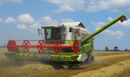 Псковская область по производству сельхозпродукции вошла в число лидеров СЗФО