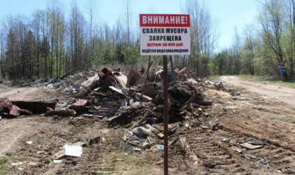 Псковские депутаты предложили штрафовать дачников за стихийные свалки