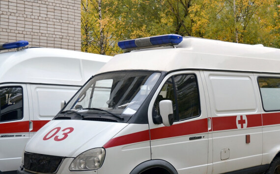 Псковская область в 2019 году получит 11 модульных и 13 мобильных ФАПов