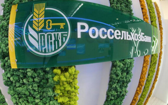 Россельхозбанк выдал 3,4 млрд рублей льготной сельской ипотеки в Северо-Западном федеральном округе