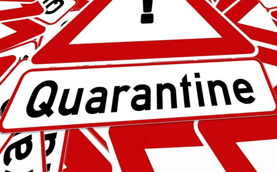 В Псковской области с 23 июля начнут отстранять от работы не привившихся граждан