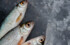 Псковская область наладила поставки рыбы и морепродуктов в другие страны