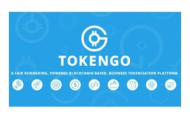 Особенности блокчейн проектов на примере TokenGO