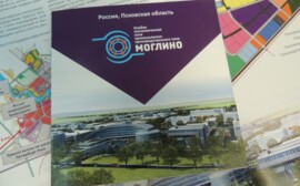Резидентам псковской ОЭЗ «Моглино» могут дать налоговые льготы