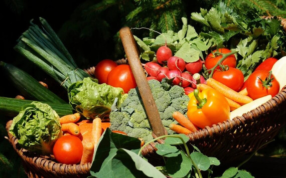 Под Псковом откроют центр переработки сельхозпродукции